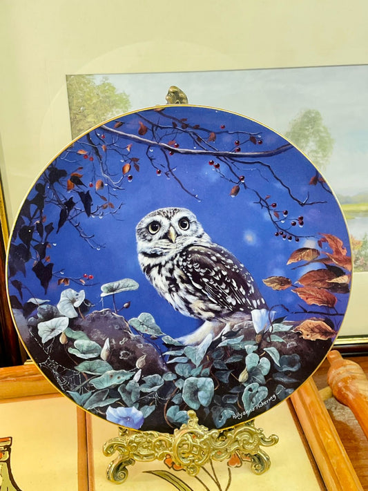 Wedgwood Midnight Hunter Owl Plate – Limited Edition 8” Collectible