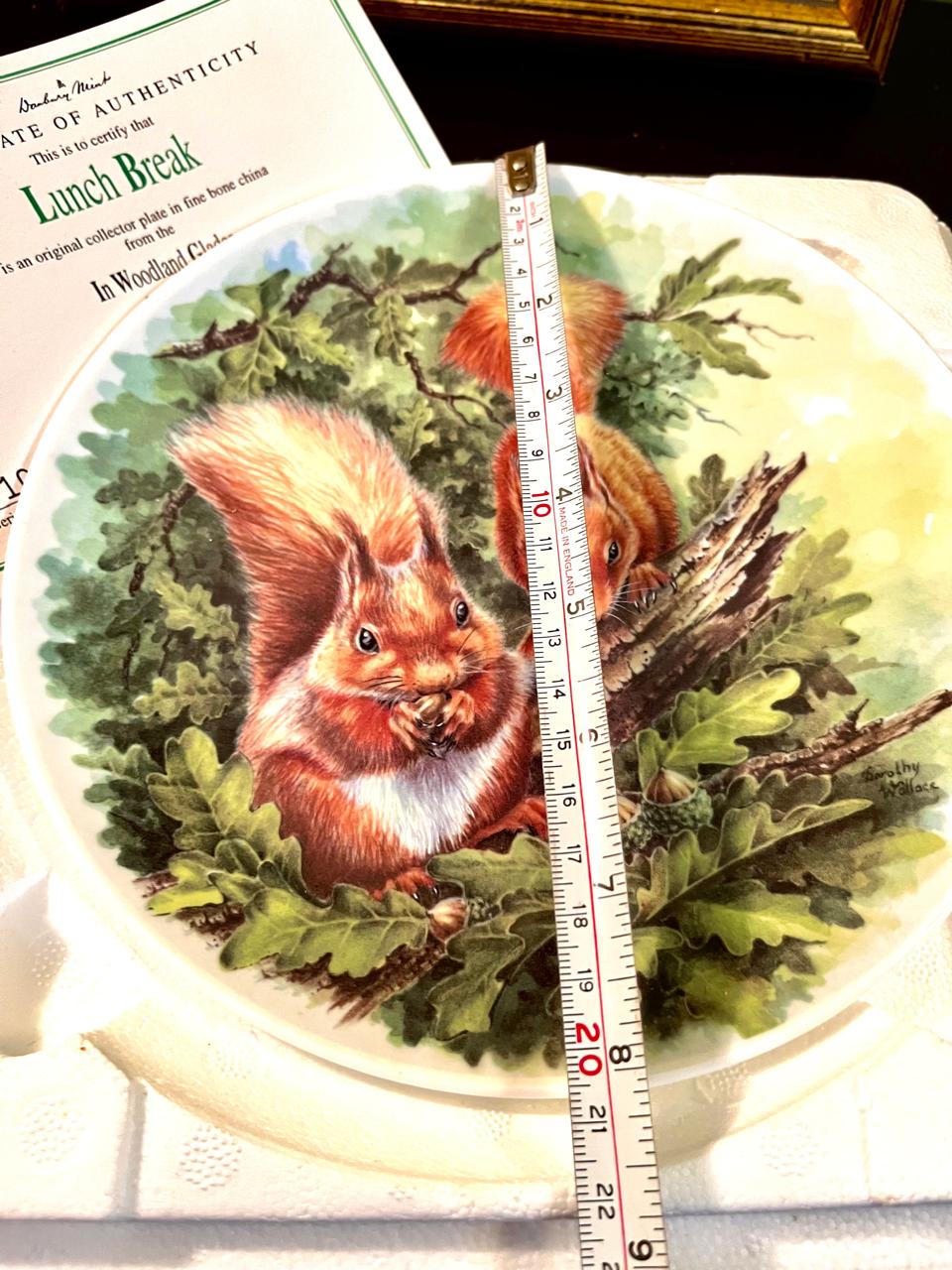 Wedgwood Boxed Decorative Plate Danbury Mint Woodland Glades Squirrel Plate 20 cm