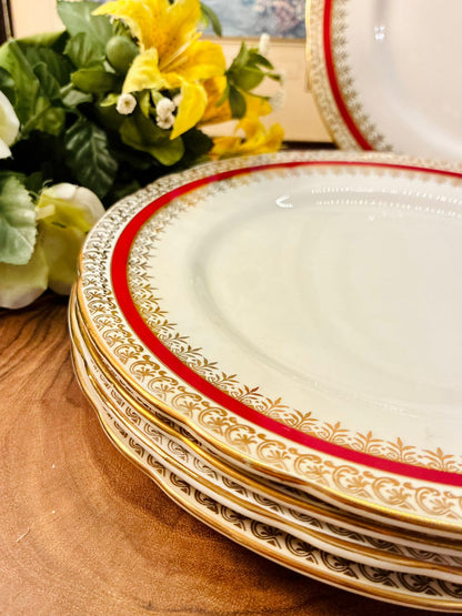 Salisbury Sarum Bone China Dinner Plates Set of 5