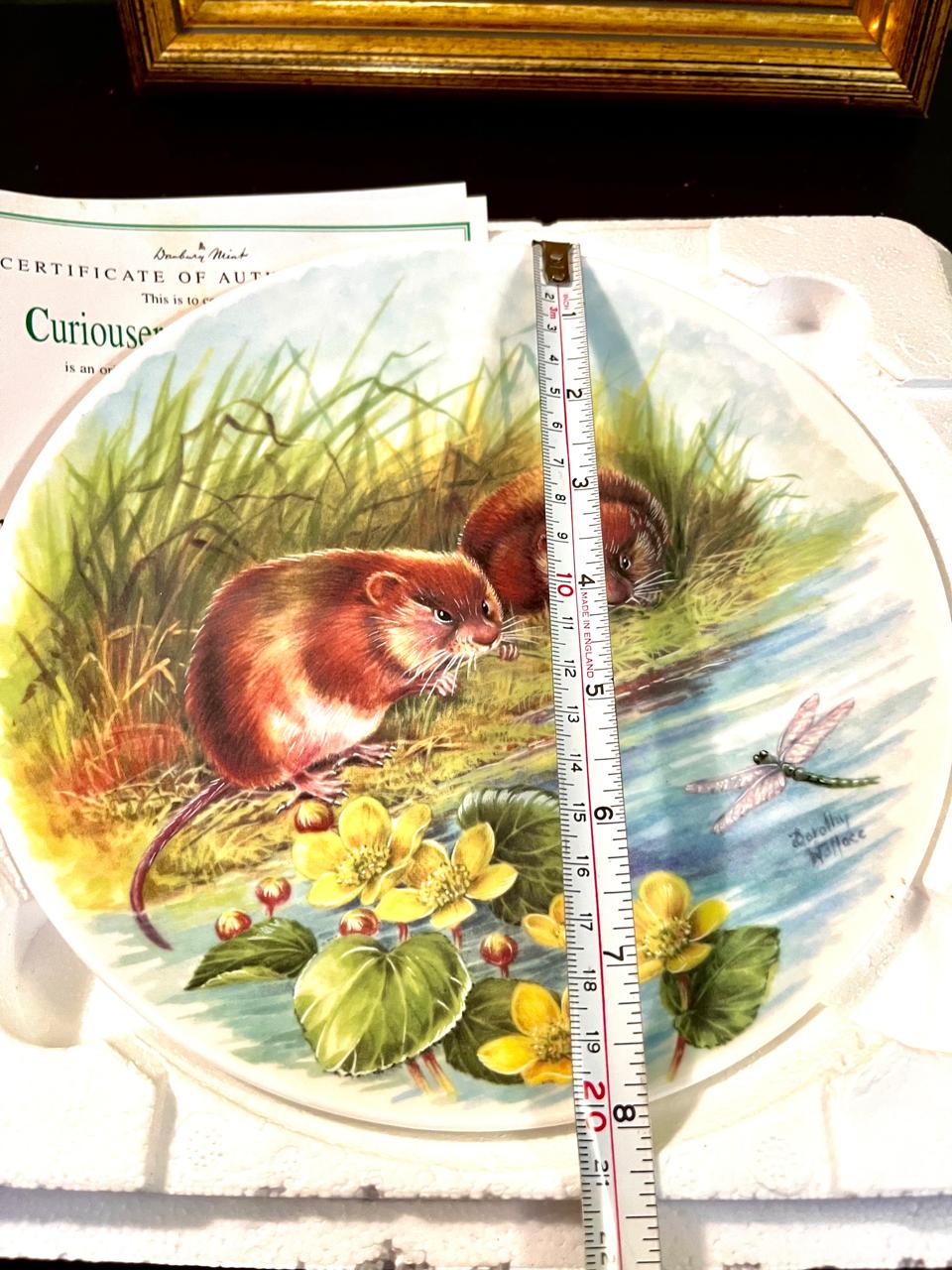 Wedgwood Boxed Decorative Plate Danbury Mint Woodland Glades Water Vole Plate 20 cm