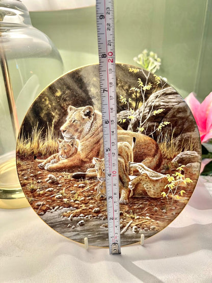 Wedgwood African Lion Fine Bone China Wall Plate – 8 Inch