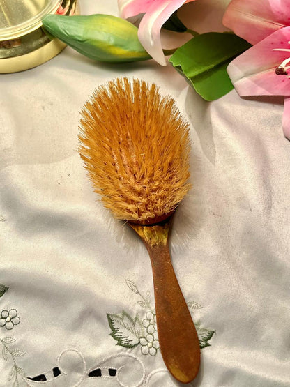 9 Inch Copper Natural Bristle Cleaning Brush with Wooden Handle