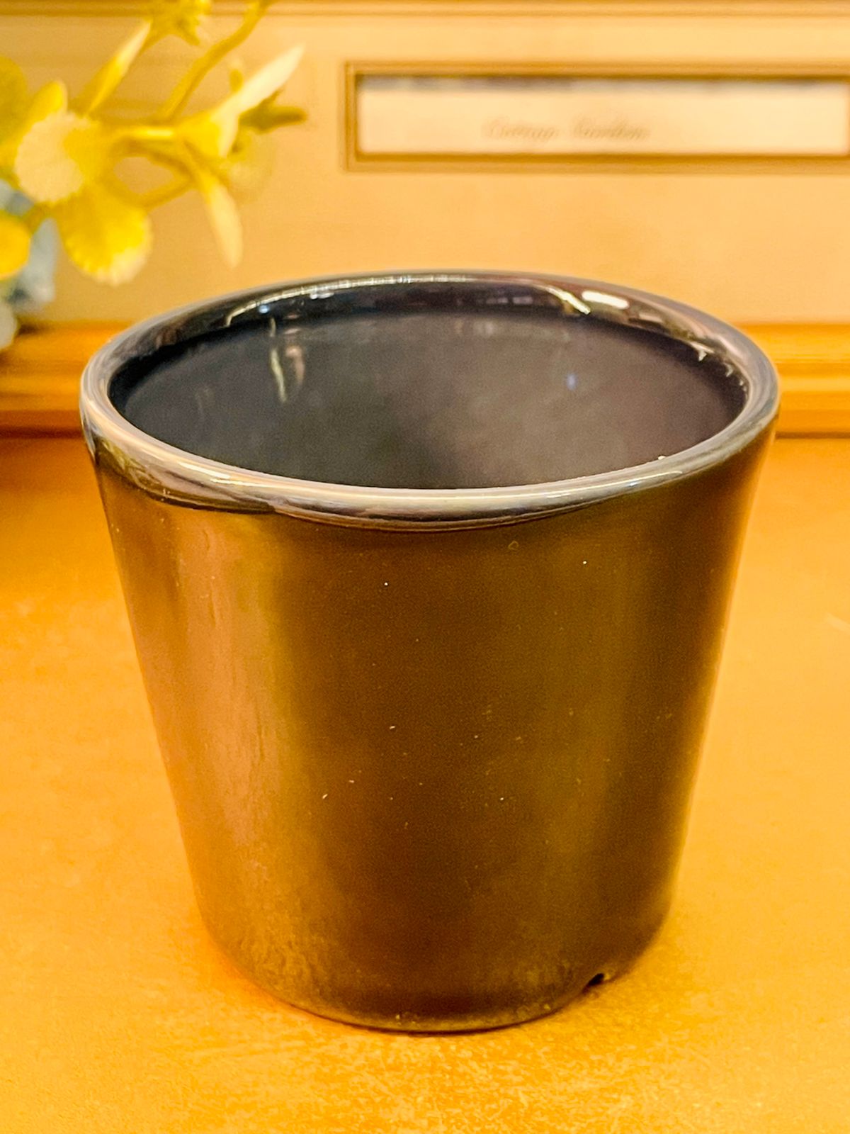 Black Glossy Ceramic Planter Minimal Indoor Plant Pot