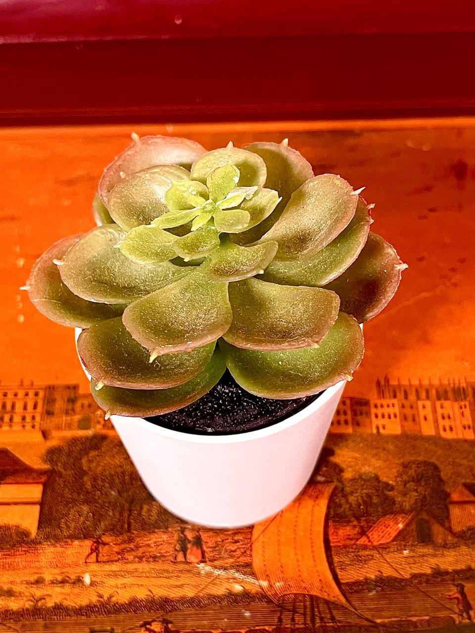 Mini Faux Succulent in White Pot | 5 Inch Decorative Planter