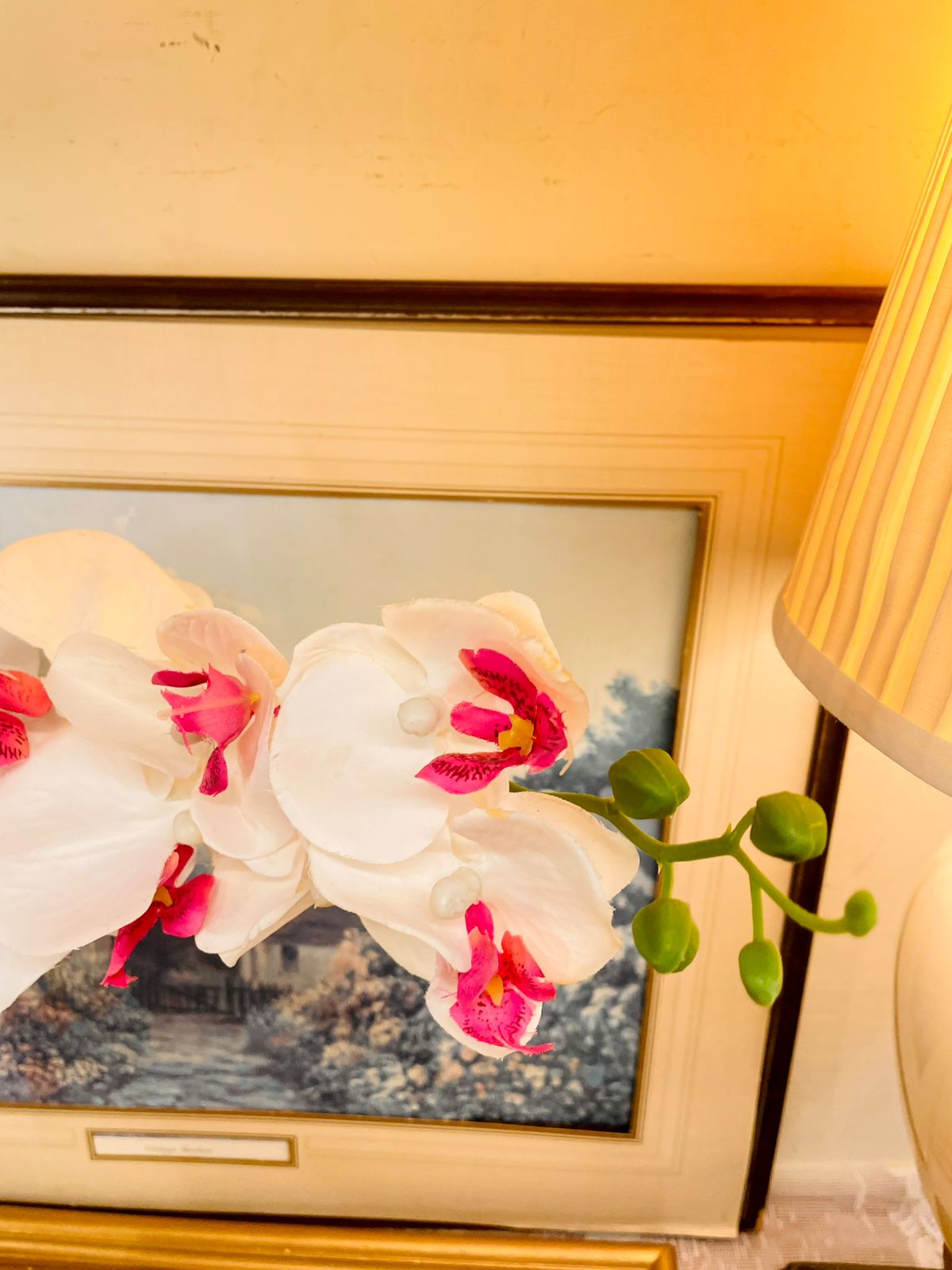 White Pink Artificial Orchid Stem 32"