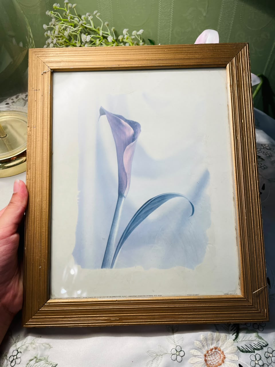 Calla Lily Framed Print Gold-Tone Frame Approx. 30 cm