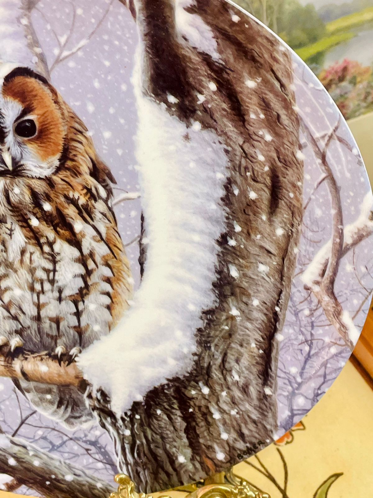 Wedgwood “I Spy” Owl Plate – Woodland Winter Collection – England