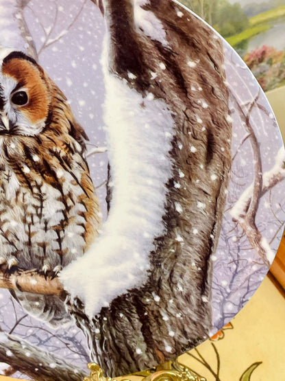 Wedgwood “I Spy” Owl Plate – Woodland Winter Collection – England