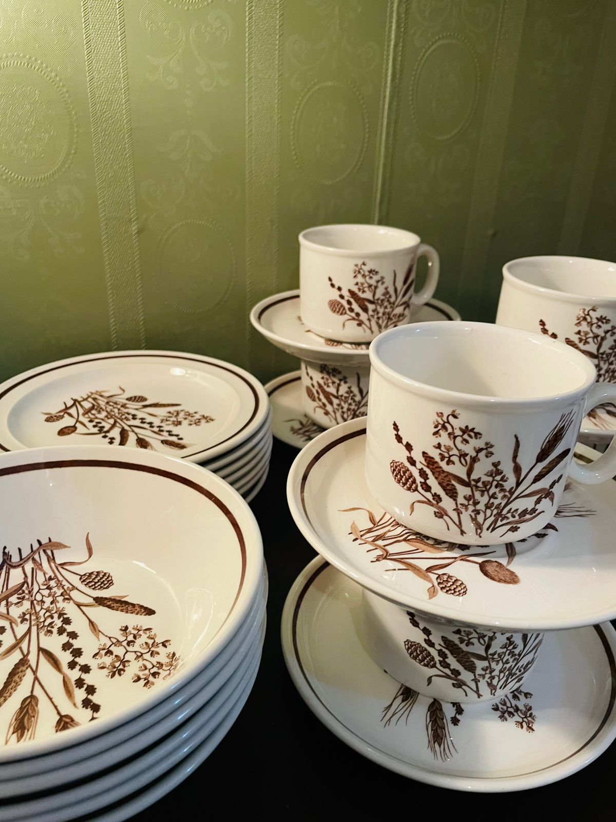 Country Lane J & G Meakin Botanical Tea Set 21 Piece