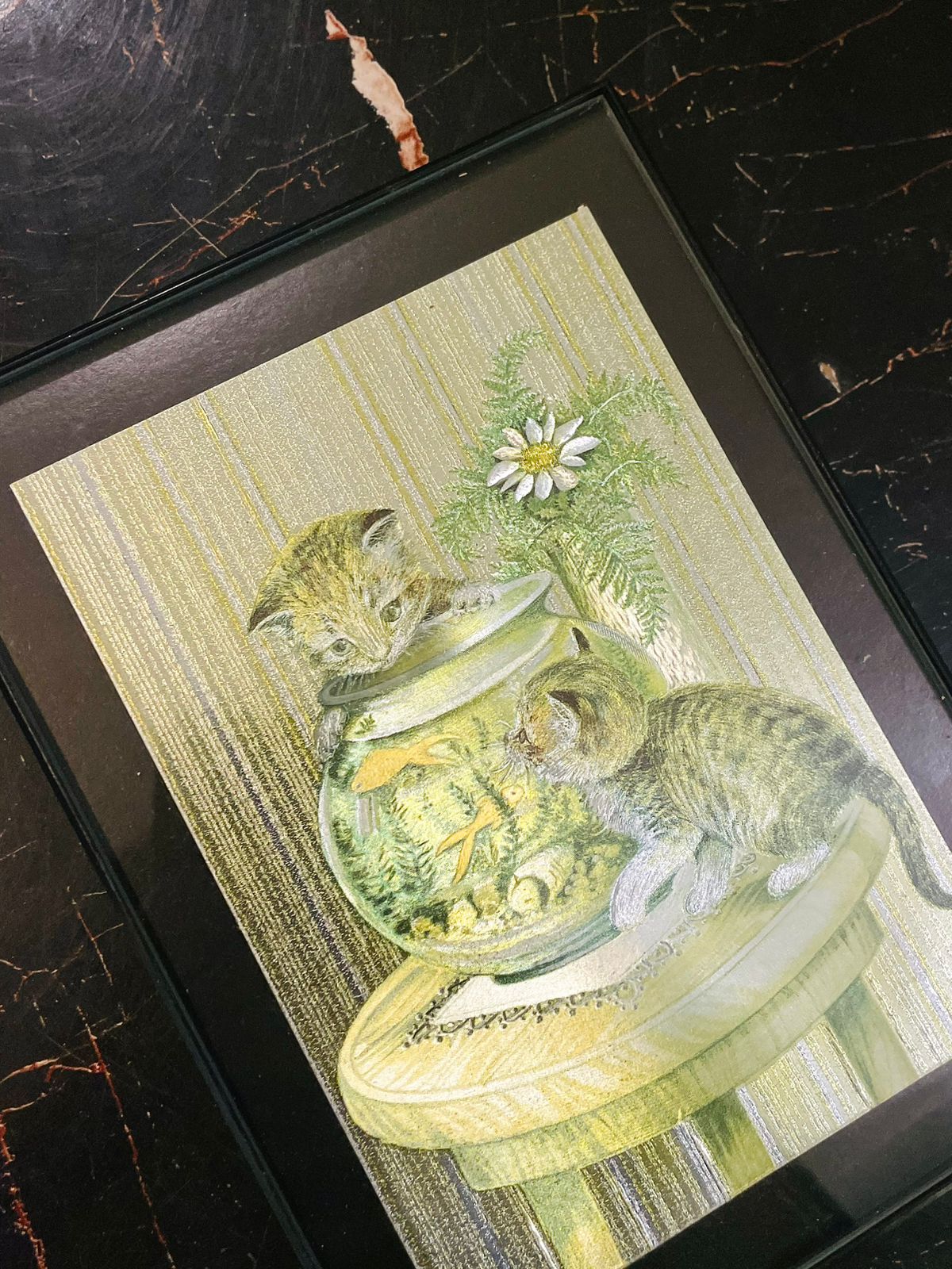 Framed Kitten Fish Bowl Wall Art