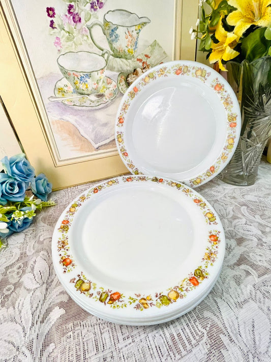 Vintage Autumn Harvest Porcelain set of 6 Dinner Plate