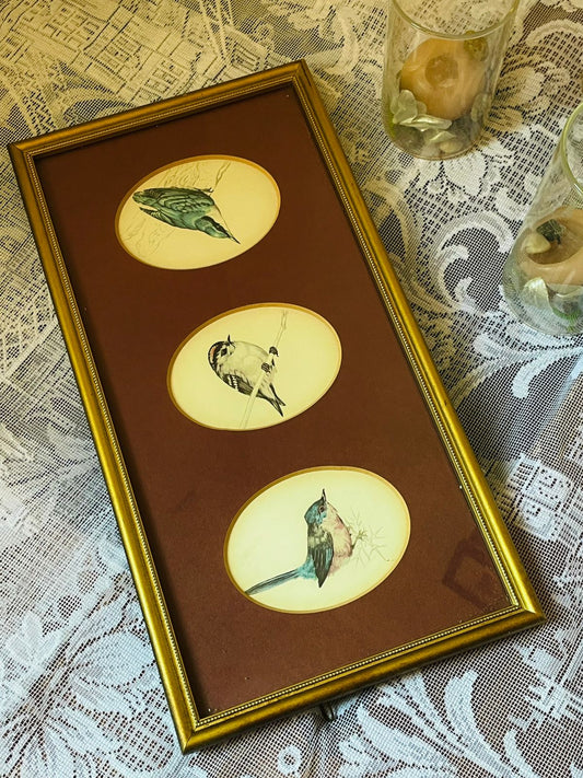 Vintage Bird Art Triptych – Gold Framed Wall Décor