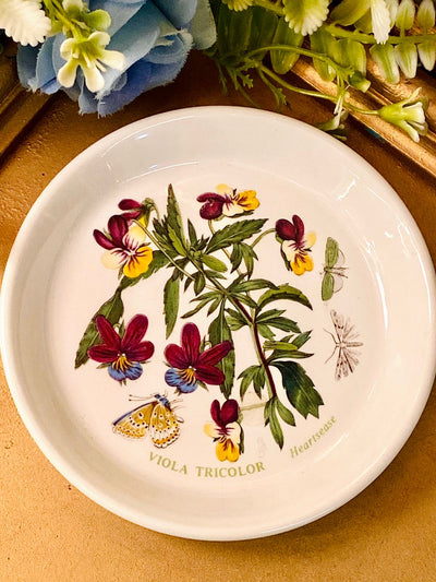 Vintage Portmeirion “Botanic Garden” Decorative Plate, 1972
