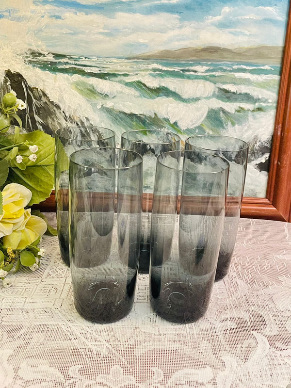 Set of 5 Smoked Glass Highball Tumblers