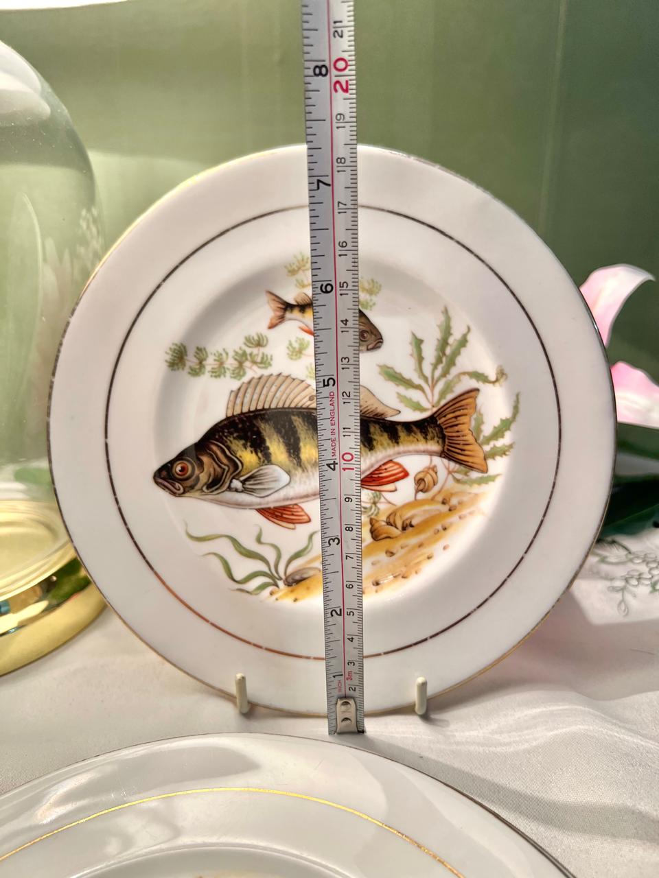 Royal Imperial Fish Design Fine Bone China Plates – 3 Piece Set