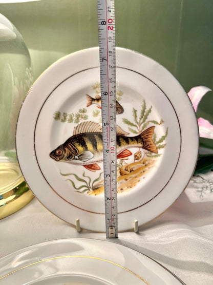 Royal Imperial Fish Design Fine Bone China Plates – 3 Piece Set