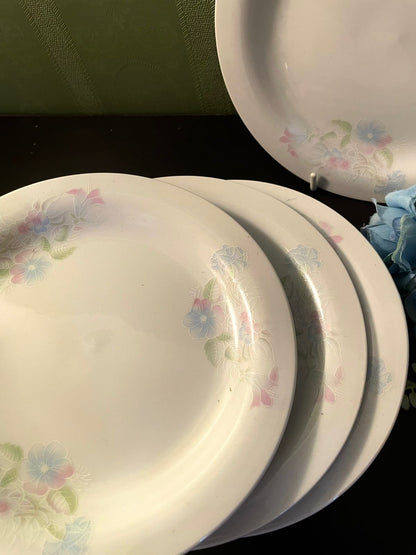 Royal of Japan Pastel Floral Plates Set of 6