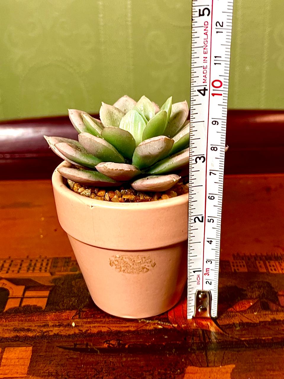 Mini Faux Succulent in Terracotta Pot | 5 Inch Decorative Planter