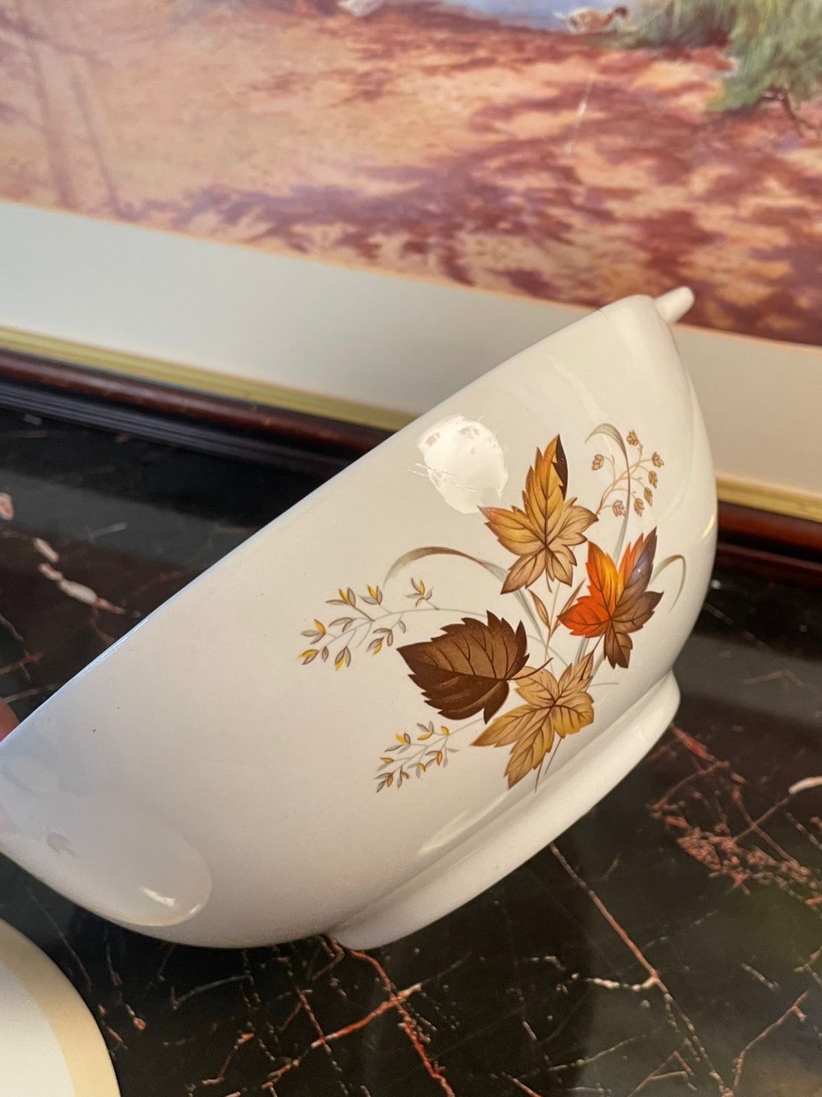 Alfred Meakin England Ironstone Covered Tureen – Autumn Leaf Design