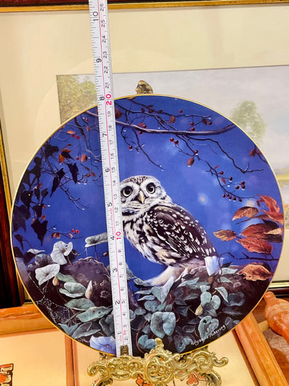 Wedgwood Midnight Hunter Owl Plate – Limited Edition 8” Collectible