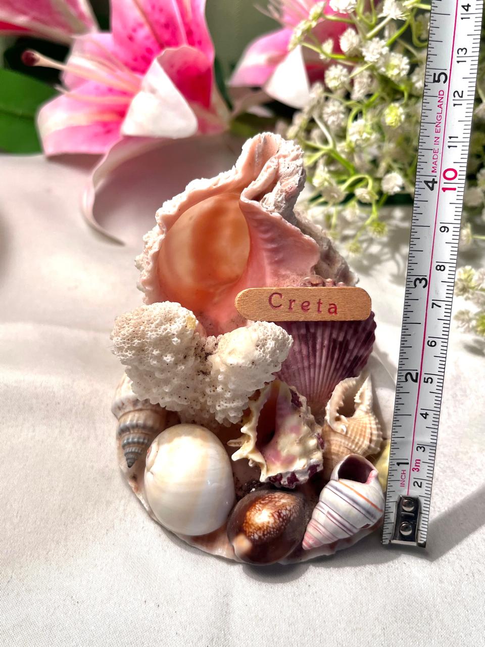Creta Seashell & Coral Souvenir Decor 4 Inch