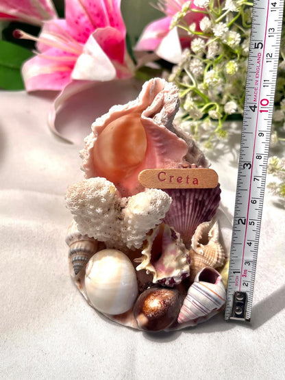 Creta Seashell & Coral Souvenir Decor 4 Inch