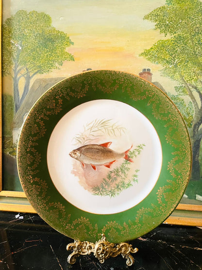 vintage fish plate, green gold rim porcelain, european hand painted china, victorian fish decor, countryside cottage wall plate, rare thrift find, antique dining decor, english style porcelain, fine collectible plate, sunset kitchen vintage collection