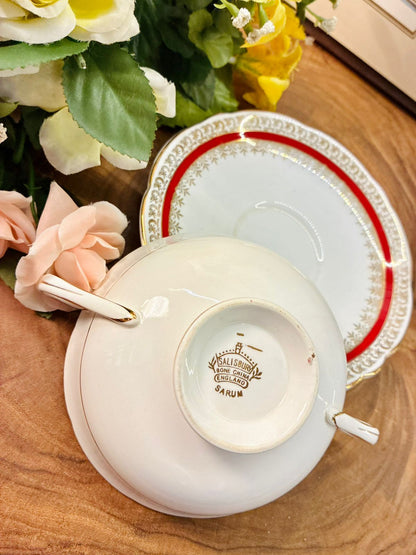 Salisbury Sarum Bone China Soup Cup & Saucer