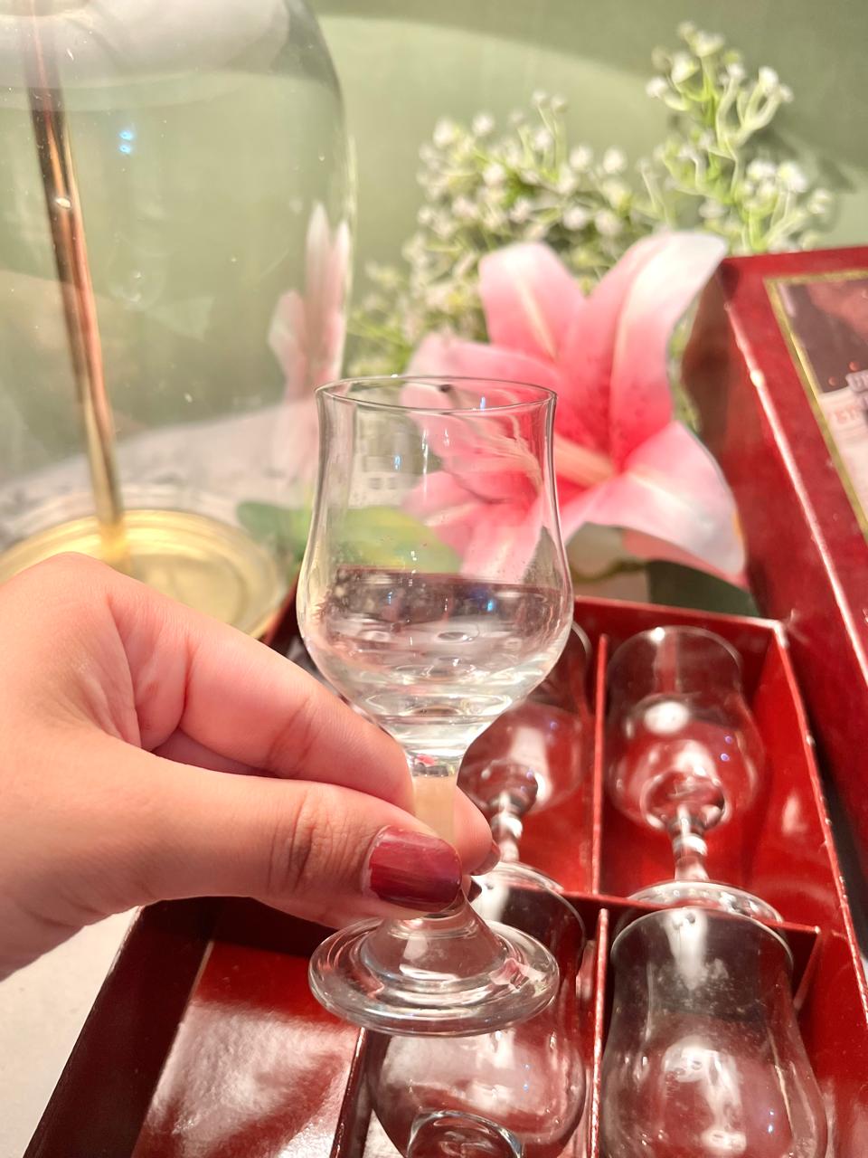 Dema Clear Crystal Short Stemmed Glasses – 6 Piece Set, 4 Inch