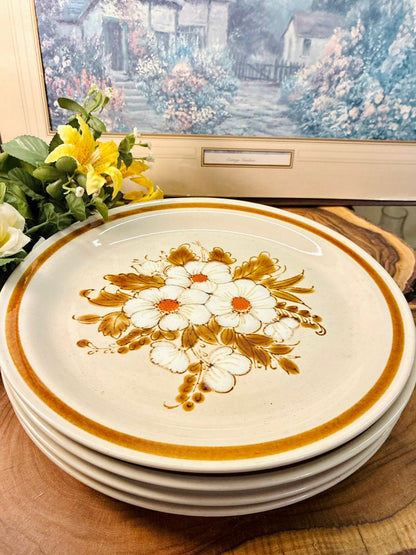 Mountain Wood Dried Flowers Dinner Plates Set of 4