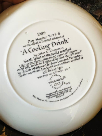 Wedgwood “A Cooling Drink” Limited Edition Plate (1989) – Artwork by John L. Chapman
