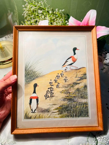 Waterbird Family Framed Print Wooden Frame Approx. 27 cm