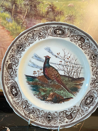 Mason’s Patent Ironstone Game Birds The Pheasant Decorative Plate – England