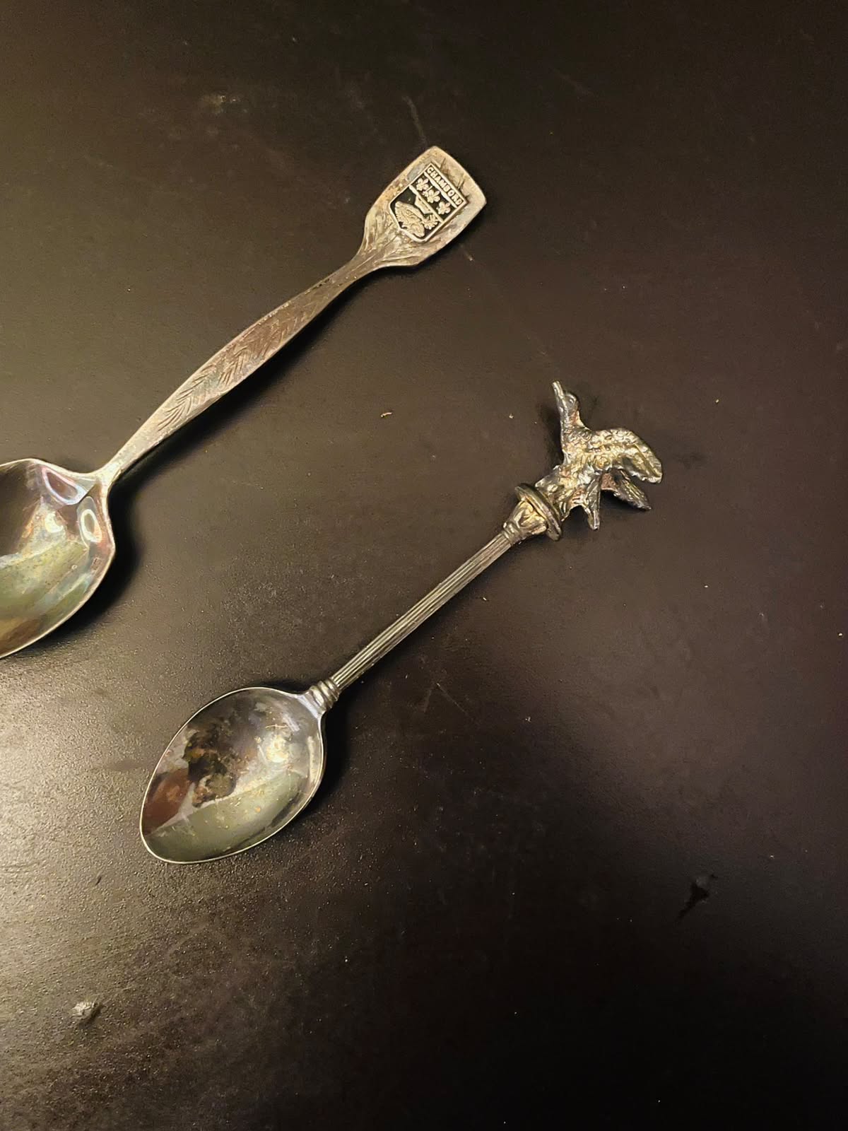 Vintage Souvenir Silverplate Spoon Set of 2 Collectible Spoons