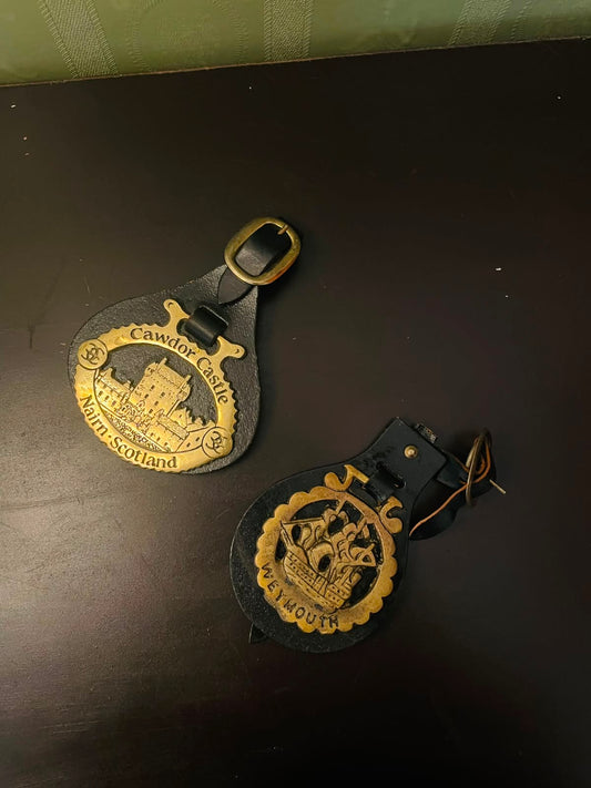 Vintage Brass Souvenir Horse Brasses Set of 2