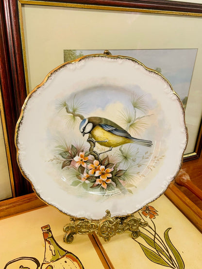 Royal Albert, Woodland Birds, Blue Tit Plate, Bird Decor, Bone China England, Vintage Plate, Decorative Wall Plate, Cottagecore Decor, Flower Plate, Bird Collector Plate, English China, Wall Display Plate, Royal Albert 1982, Home Décor Gift