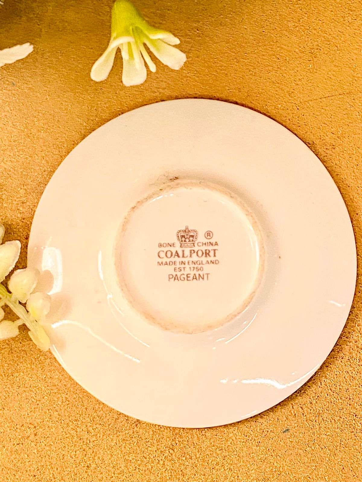 Coalport Pageant Bone China  Decor Plate – Vintage Floral England