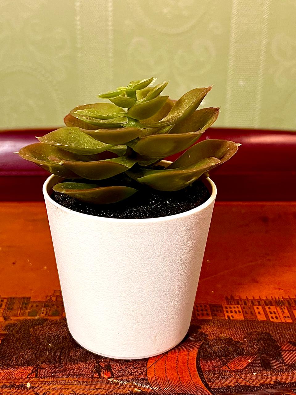 Mini Faux Succulent in White Pot | 5 Inch Decorative Planter