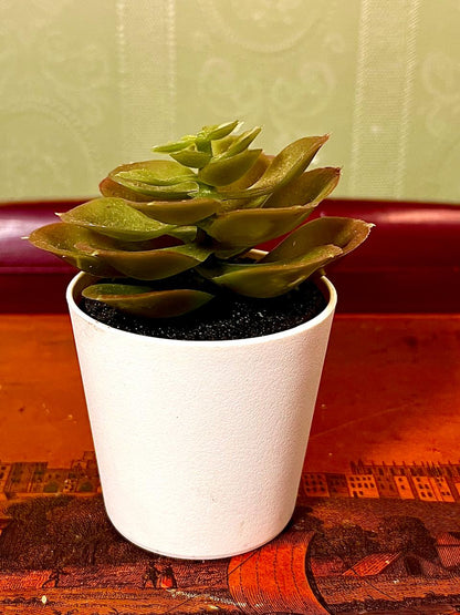 Mini Faux Succulent in White Pot | 5 Inch Decorative Planter
