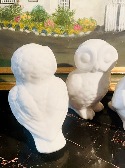Ceramic White Owl Trio — Minimalist Decorative Figurines