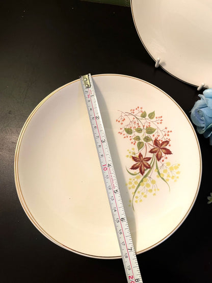 Johnson Bros Floral Fine China Side Plates Set of 6 – 7 Inch