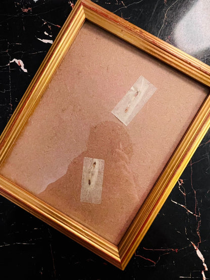 Vintage Gold Picture Frame by Studio 18 Jersey