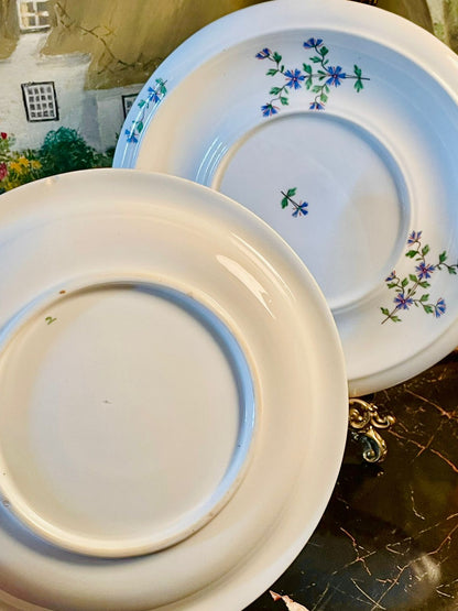 Vintage English Ceramic Coasters with Blue Wildflower Design – Teapot & Mug Mats