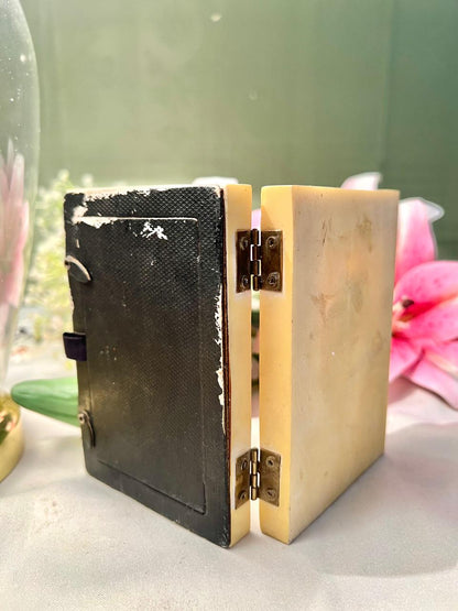 Pink Rose Hinged Double Photo Frame 4.5"