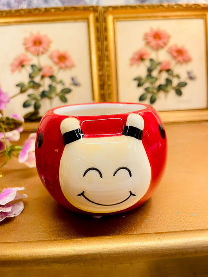 Cute Ladybug Ceramic Planter Pot Decor