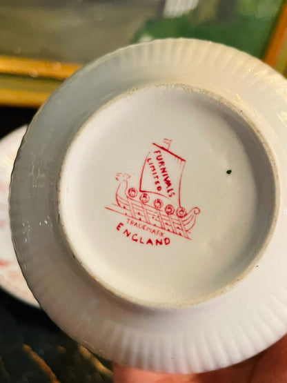 Vintage Ruby Red Grass Patterned Ceramic Tea Cup & Saucer