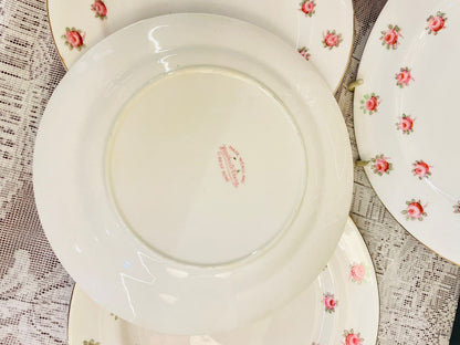 Vintage English Bone China Rose Plates Set of 4