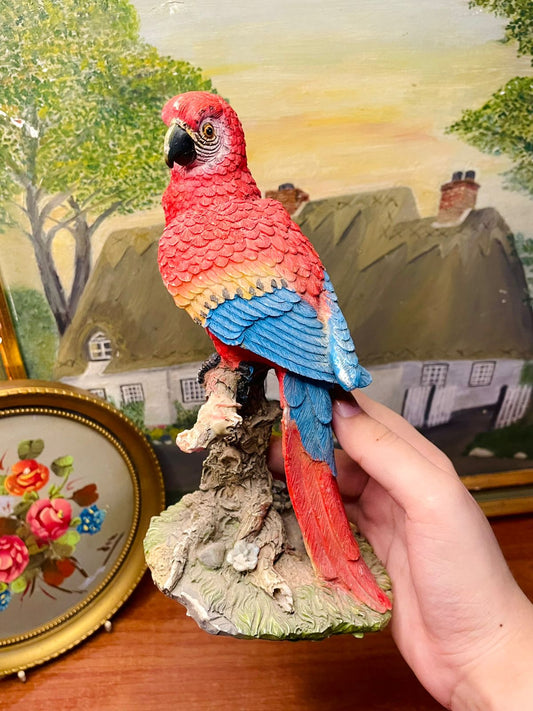 parrot home decor in pakistan