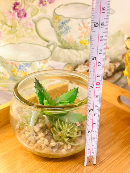 Artificial Succulent in Glass Pot – Faux Plant for Home Decor