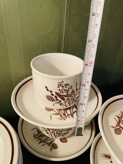 Country Lane J & G Meakin Botanical Tea Set 21 Piece